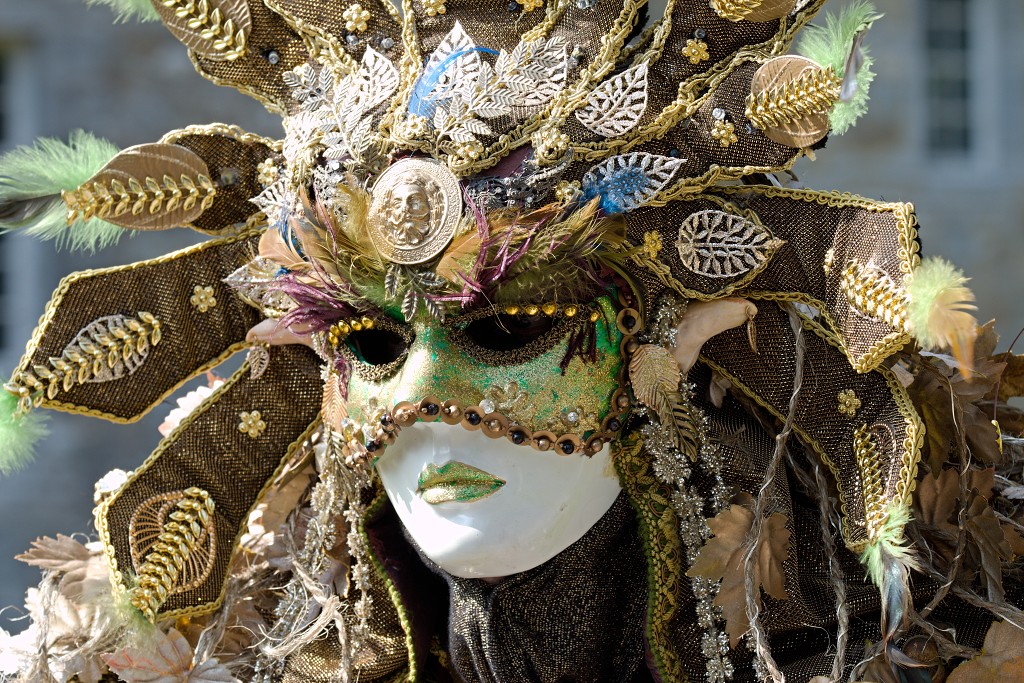 venetiaanse costumes venetie de venise brugge evenement event festival tuinen annevoie festiviteit kostuums carnaval venice